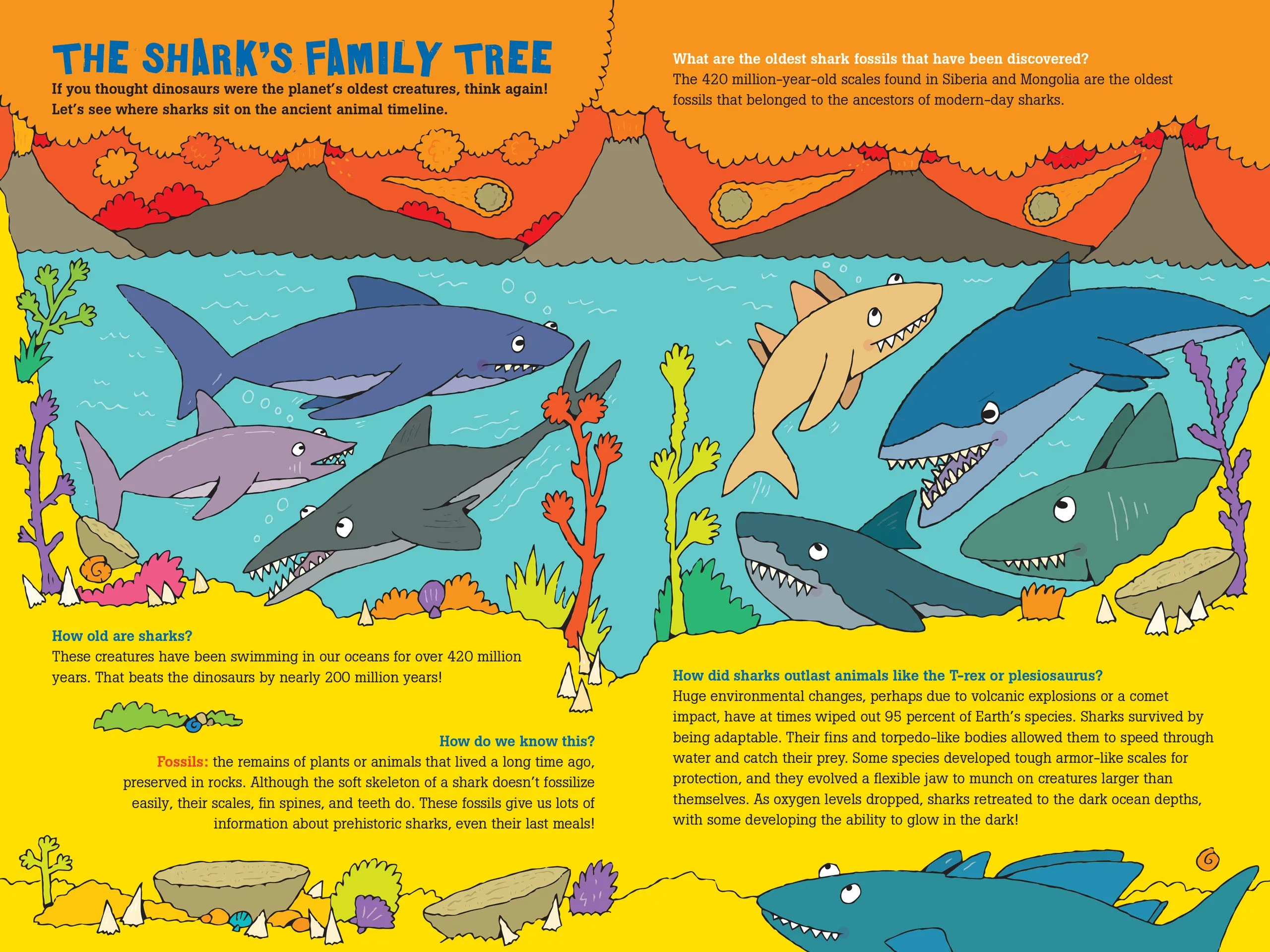 100 Questions About Sharks
