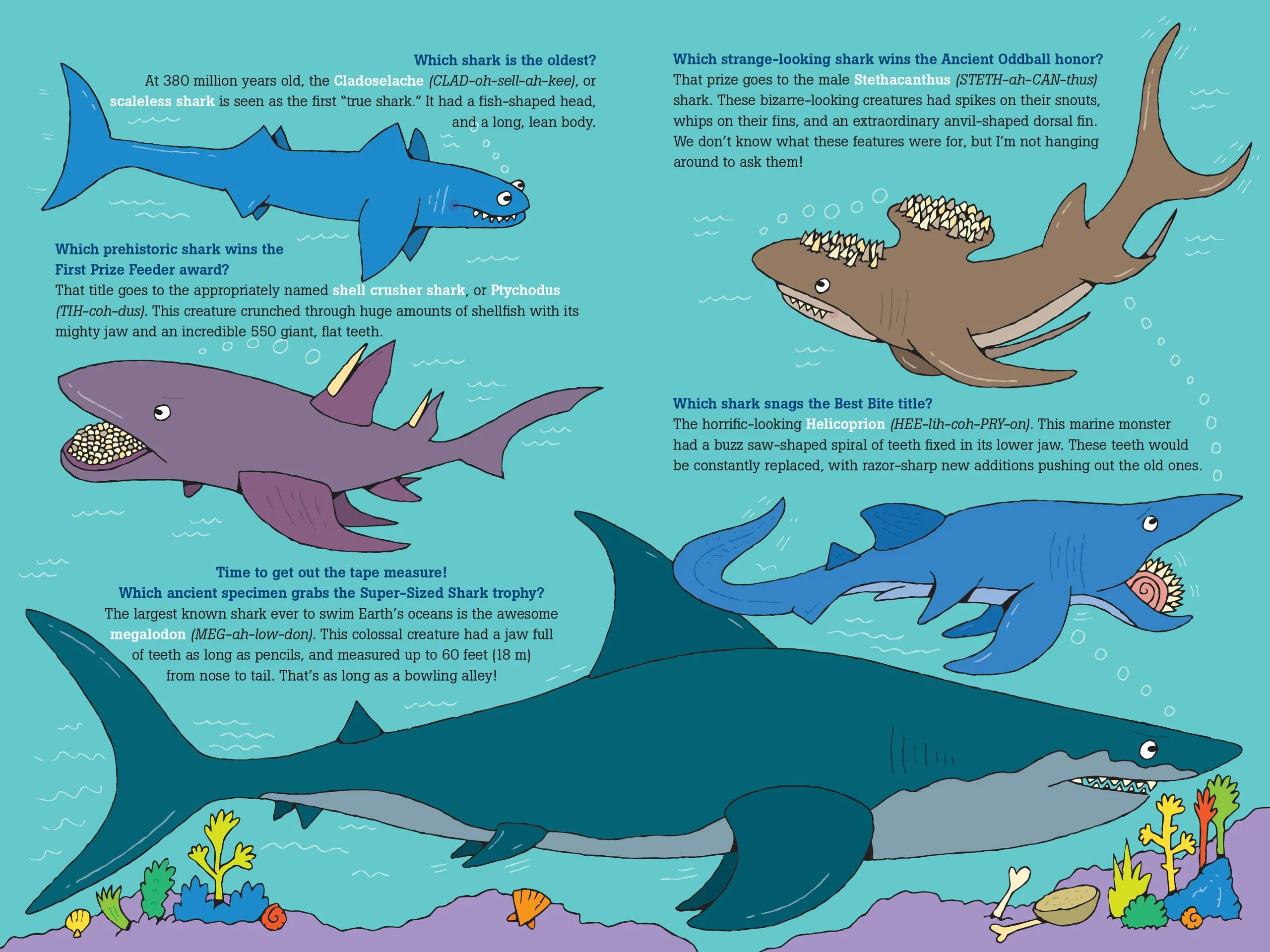 100 Questions About Sharks