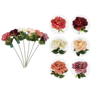 Antheia Peony, 58cm, 6 Asstd