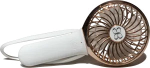 Buggy Fan Rose Gold
