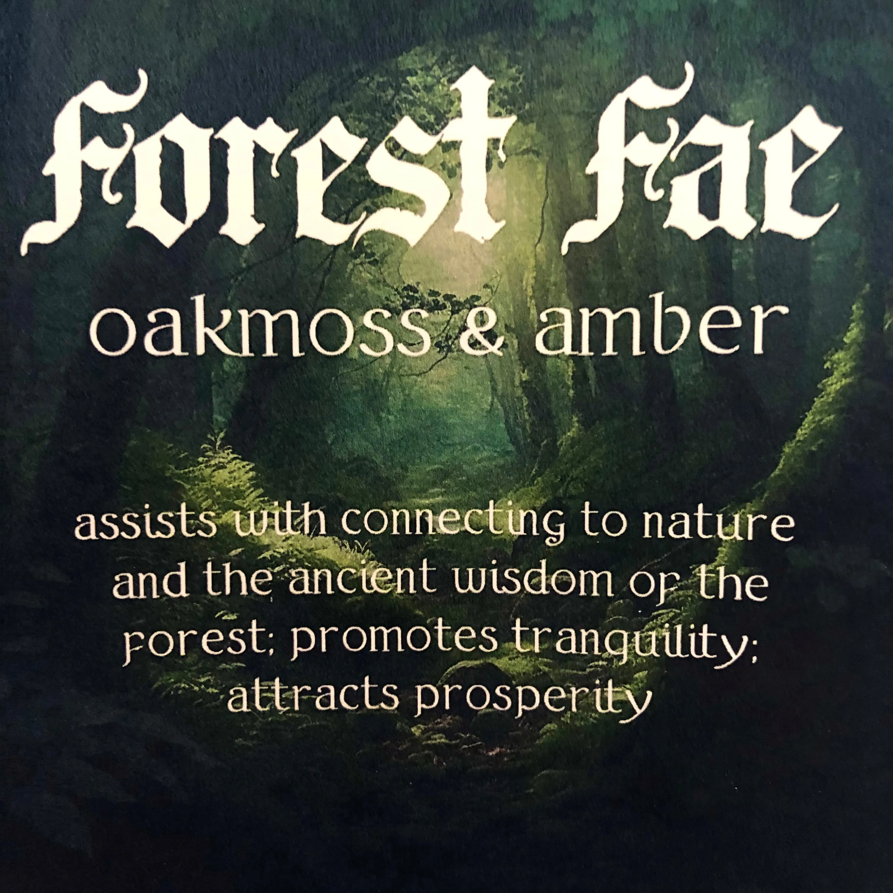 Fragrance Oil - Forest Fae - Oakmoss & Amber