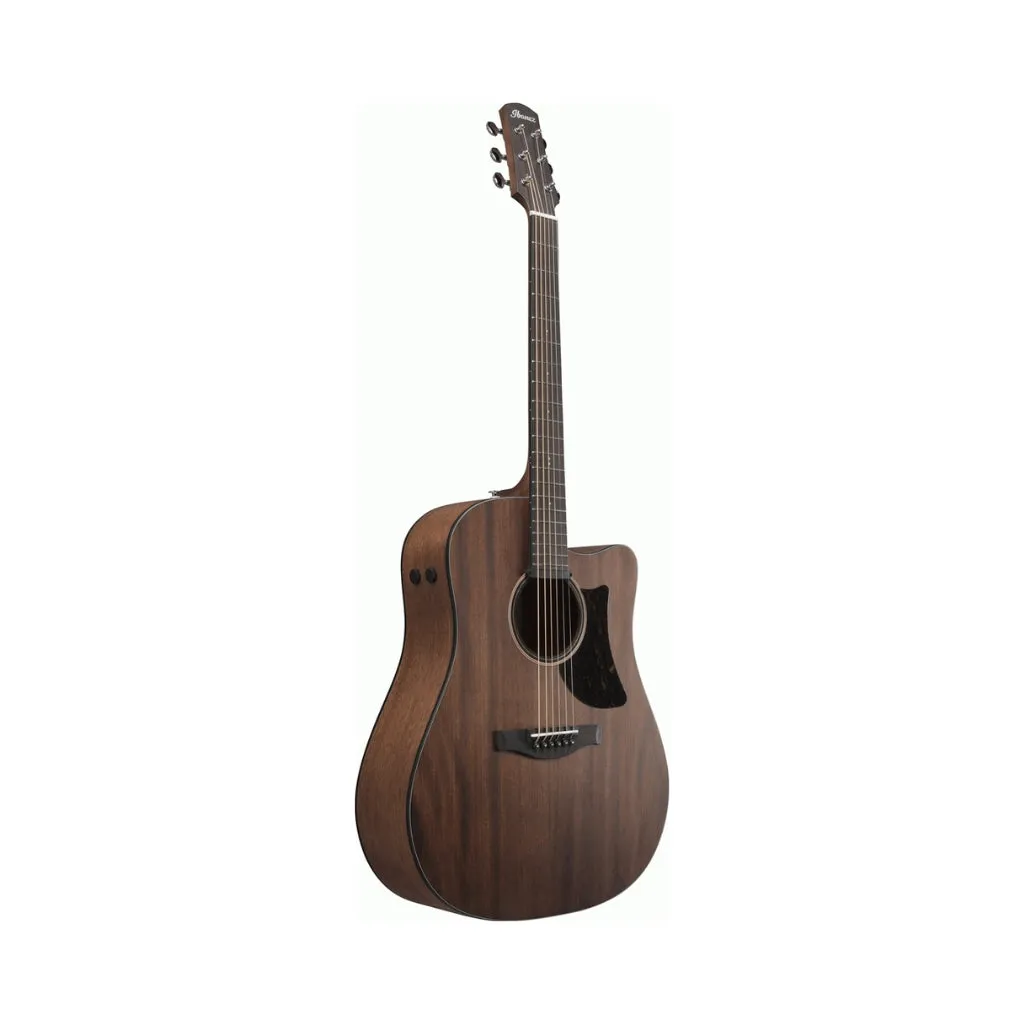 Ibanez - AAD190CE Advanced Acoustic Guitar - Open Pore Natural