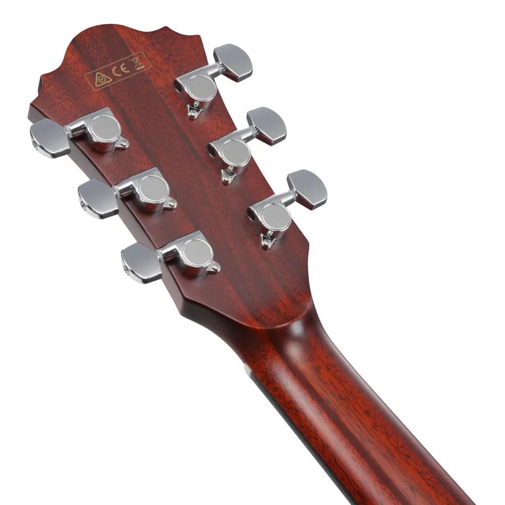 Ibanez AE410 LGS  Acoustic Guitar