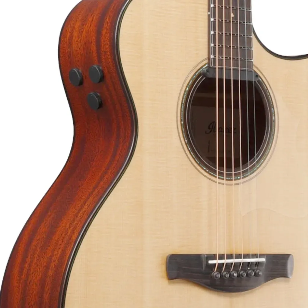 Ibanez AE410 LGS  Acoustic Guitar