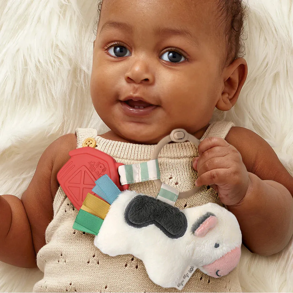Itzy Ritzy Itzy Pal Infant Toy | Cow