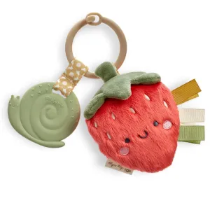 Itzy Ritzy Itzy Pal Strawberry Teether