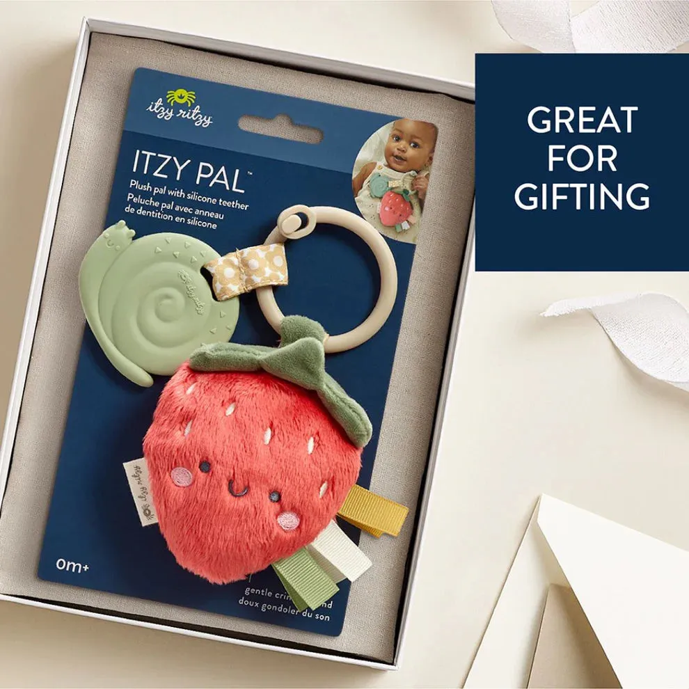 Itzy Ritzy Itzy Pal Strawberry Teether