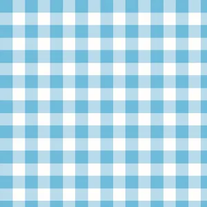 Napkins, Gingham Blue, 20pk