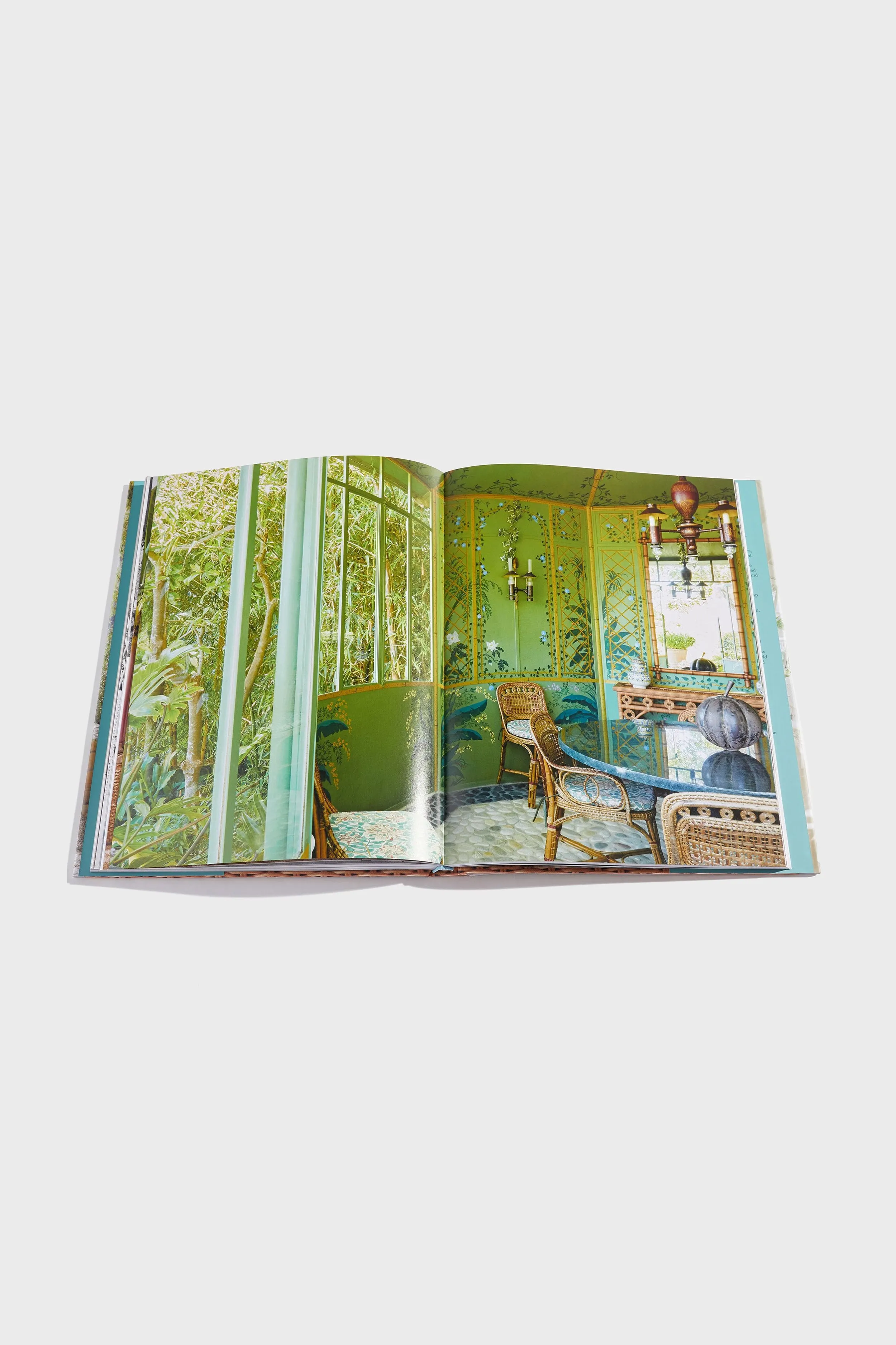 Rattan: A World of Elegance and Charm