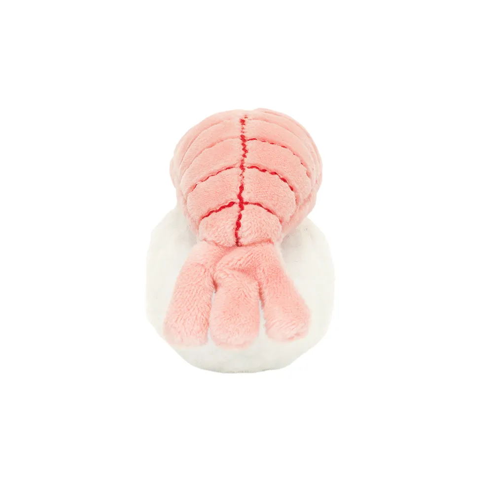 Sassy Sushi Nigiri