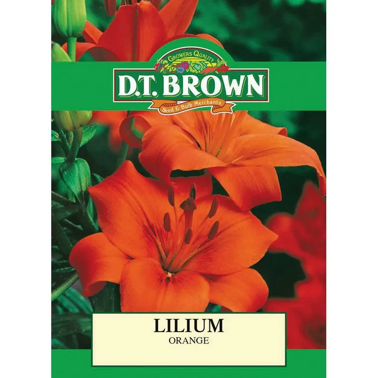 Summer Season Bulbs, Asstd
