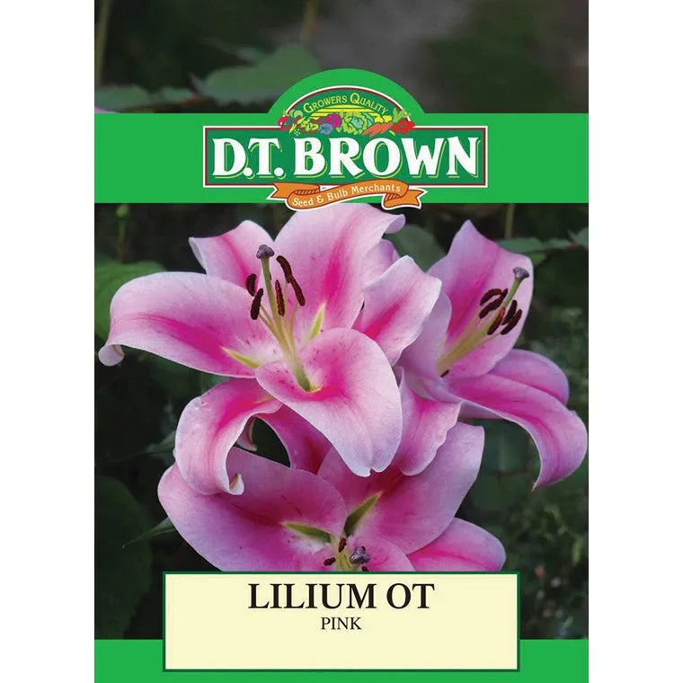 Summer Season Bulbs, Asstd