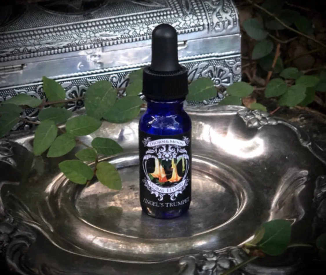Thorn & Moon Floral Elixirs - Angel’s Trumpet - Flower Essence