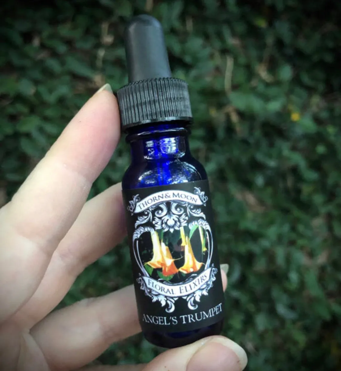 Thorn & Moon Floral Elixirs - Angel’s Trumpet - Flower Essence