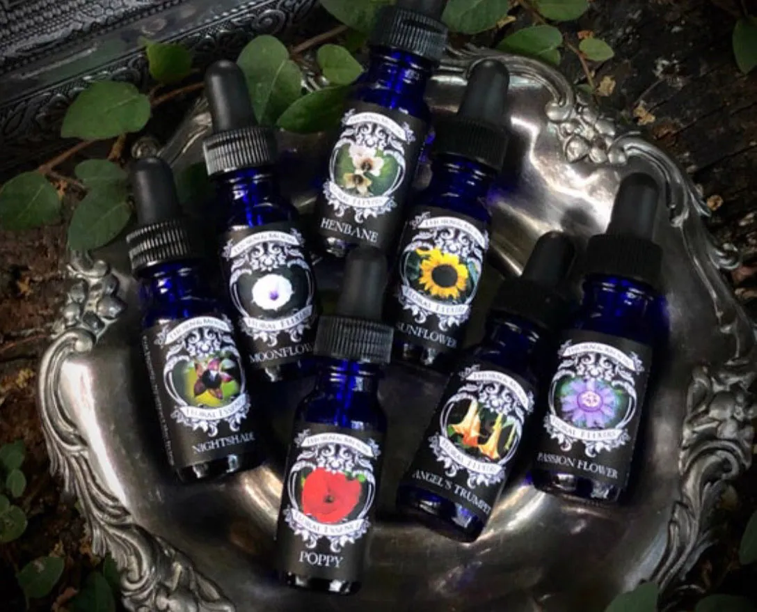 Thorn & Moon Floral Elixirs - Angel’s Trumpet - Flower Essence
